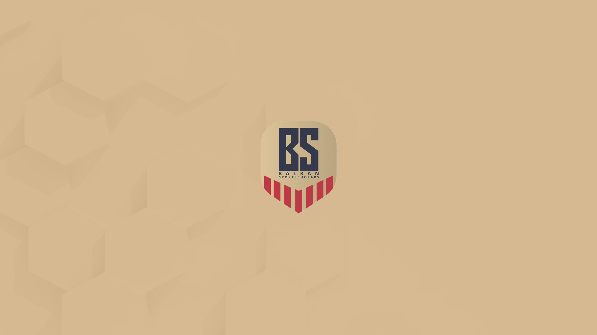 Balkan Sports Scholars - Email Marketing